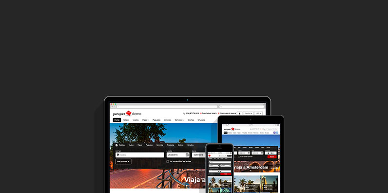Web Responsive